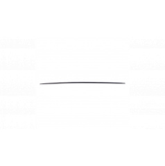 Zadní křídlo Mercedes-Benz S C217 A217 Lip Carbon Look