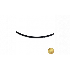 Zadní křídlo Mercedes-Benz CLS C219 Lip Gloss Black Zadní křídlo Mercedes-Benz CLS C219 Lip Gloss Black