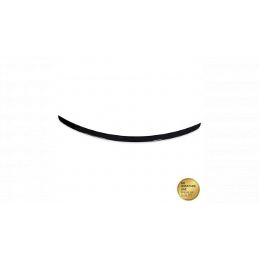 Zadní křídlo Mercedes-Benz CLS C219 Lip Gloss Black