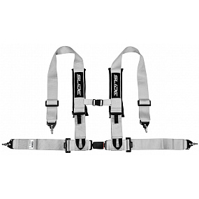 Sportovní pásy Slide V2 Stříbrné 4P 3" E4 Sportovní pásy Slide V2 Stříbrné 4P 3" E4