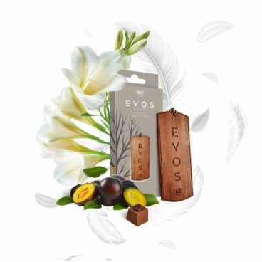 Osvěžovač K2 EVOS GRACE ANGEL - dřevěná vonná visačka