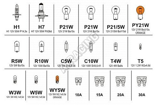 B x w 6 v. C5w и c10w отличия лампа. Лампа p21.5w различие. C5w c10w отличия. C5w w5w отличия.