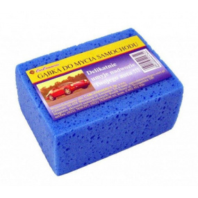 Houba mycí Car 16x10 cm